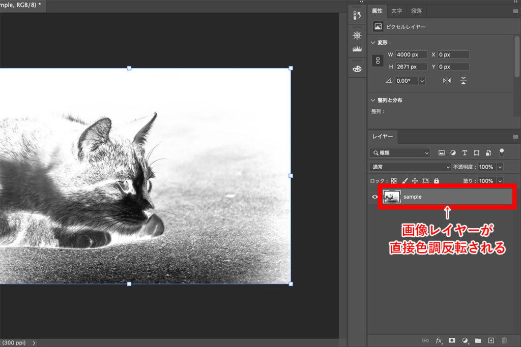 Photoshop 一瞬で画像の白黒 色調 反転をする方法 初心者も簡単 Creators